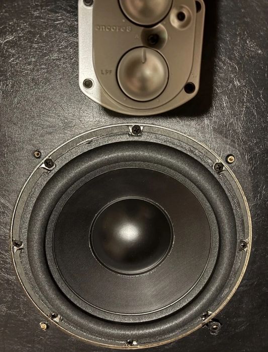 ENERGY Encore 8 Subwoofer ACTIV 150wRMS/600wPeak 25Hz Made CANADA