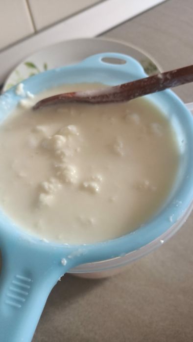 Ciupercă Tibetană De Chefir 1 Lingură