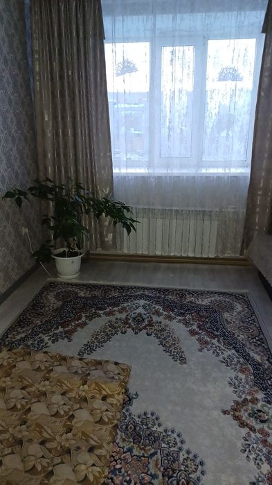 Продаю квартиру МСО (статус квартиры) и дачу на Кривом озере