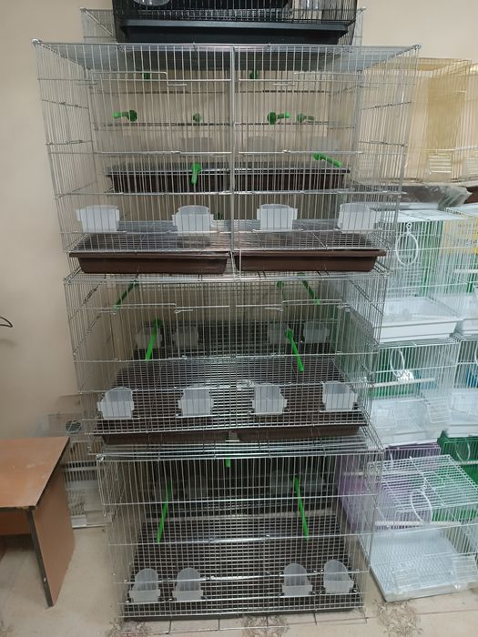 Клетка с перегородкой