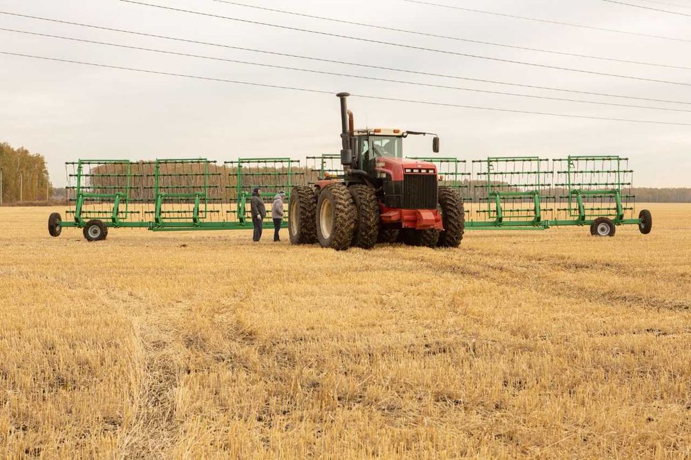 Борона пружинная БСП