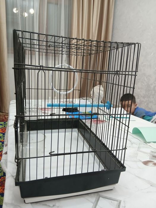 Сетка для птицы попугай