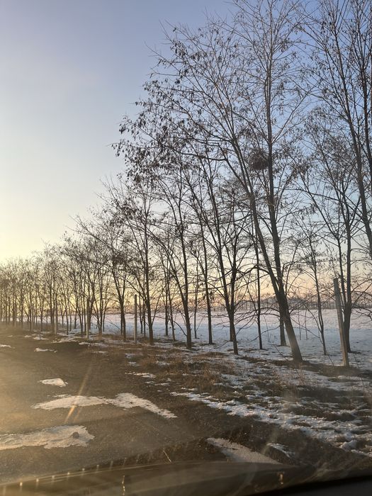 Se vinde teren cu balastieră autorizată!