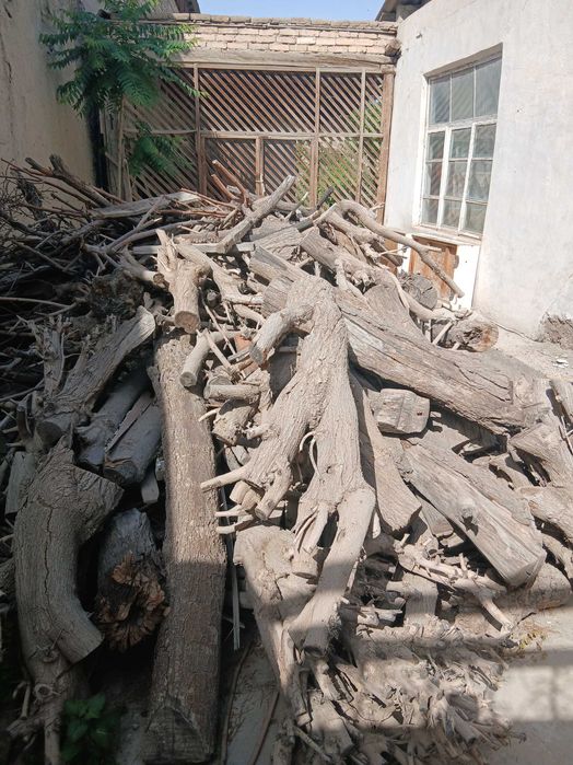 1 камаз утин. Урик , гужум, тут кунда.