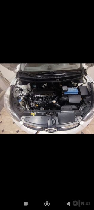Hyundai Elantra kraska toza