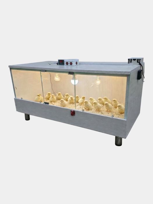 Bruder  Брудер zamonaviy