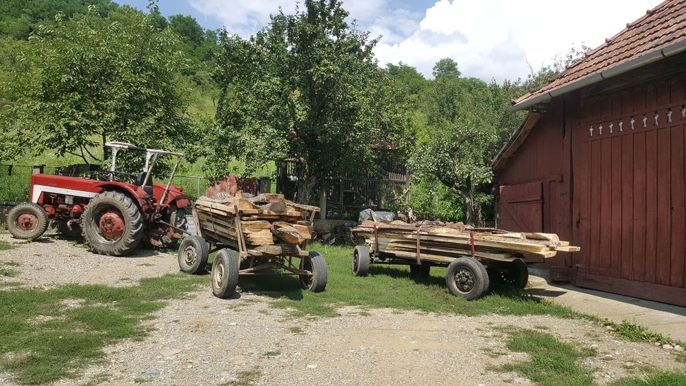 Vand fosla si scandura de Nuc Calitate
