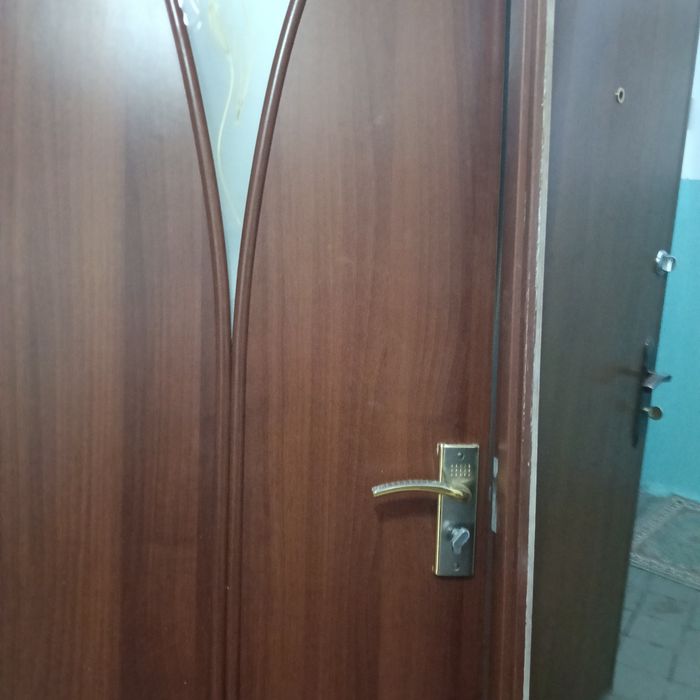 Дверь с коробкой, 60 см