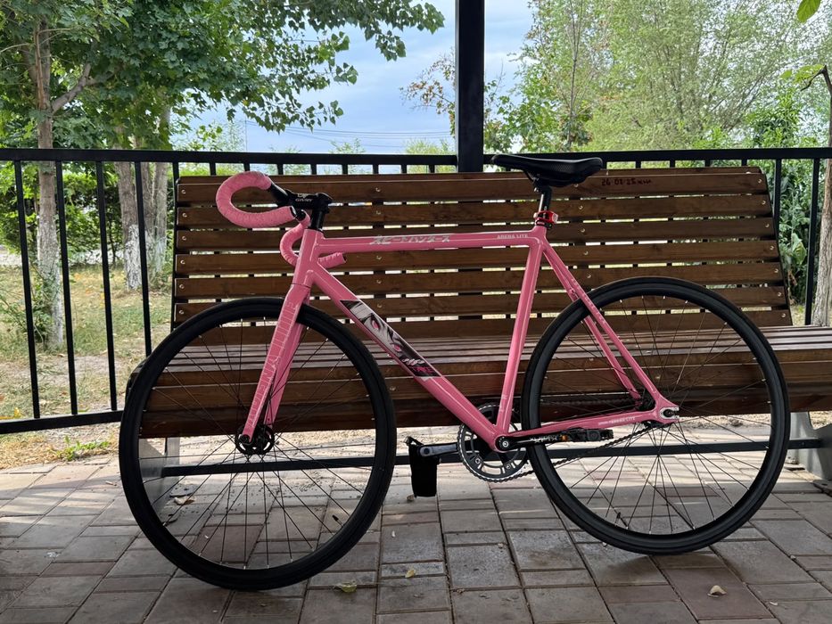 Fixed gear ardently arena lite