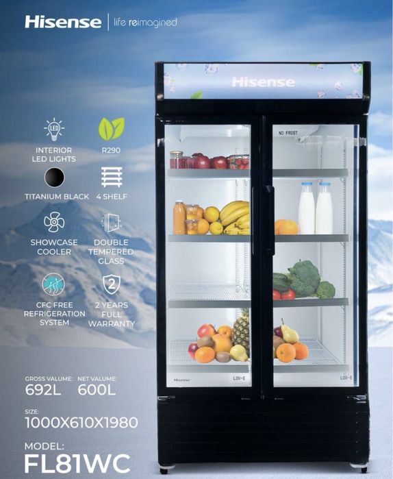 Холодильники витрина Hisense FL81WC
