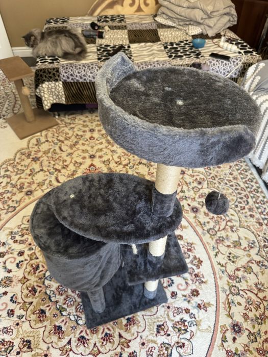 Коготочки за 18000 тенге