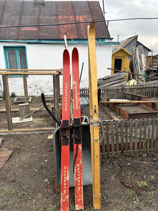 ПРОДАМ Лыжи Охотничьи (лесные)