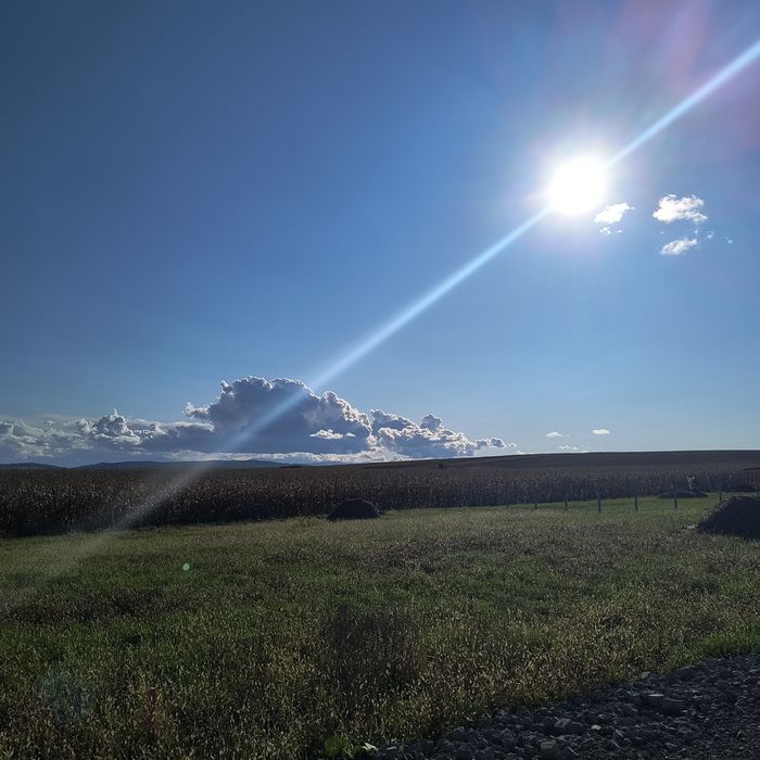 Teren Simeria pentru casă de vacanță