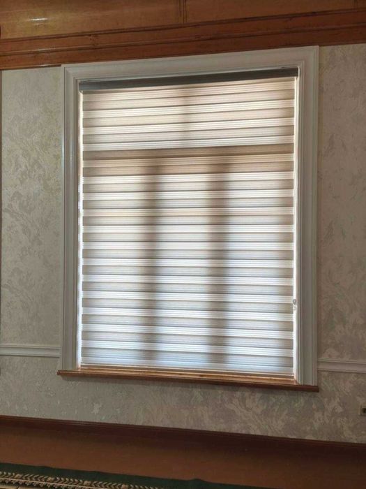 Ролл шторы Жалюзи День и ночь