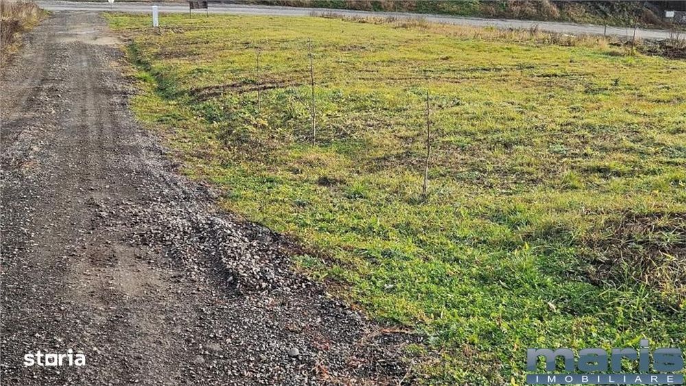 Vanzare 9 ari teren intravilan Tg. Mures Str. Zeno Vancea.