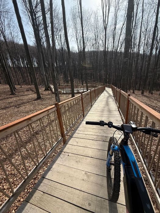 Bicicletă Electrică