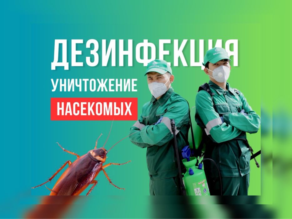 Дезинфекция Дизенфекция Алматы В Кафе Склад Мойка Квартира Таракан