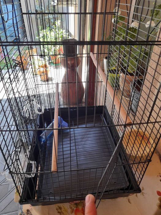 Клетки за папагали и разплодни воалиери за канарчета.