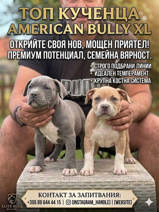 Американско були