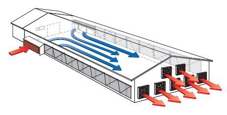 Климат контроль Бройлеры