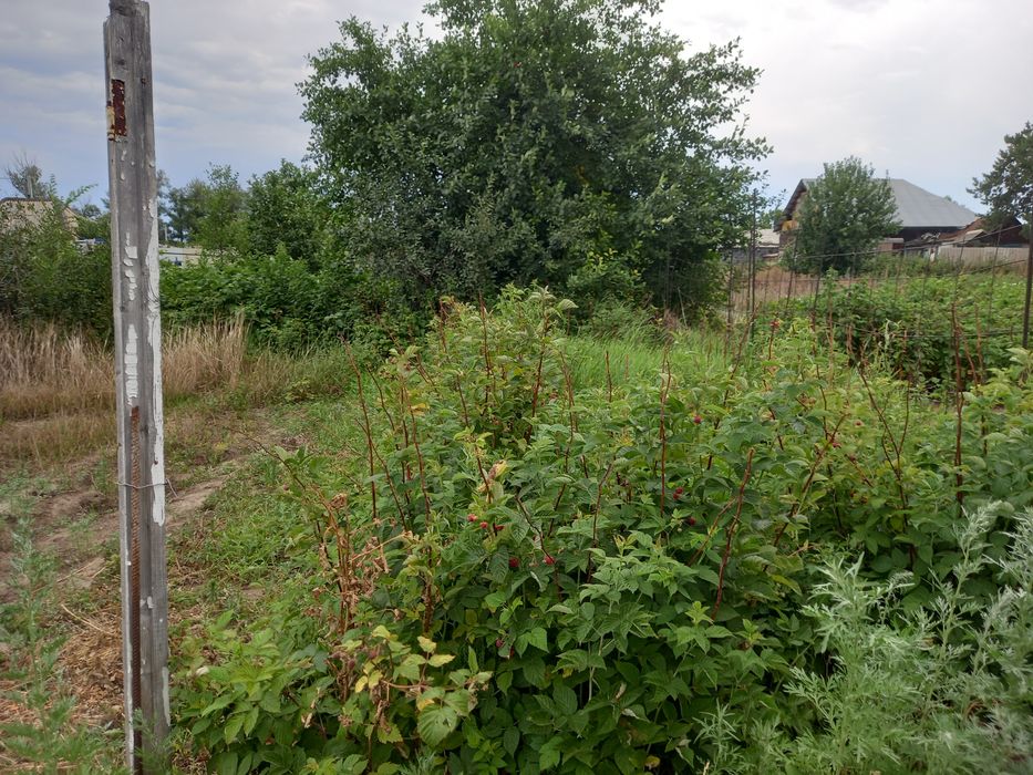 Продам дачу Восточный правый
