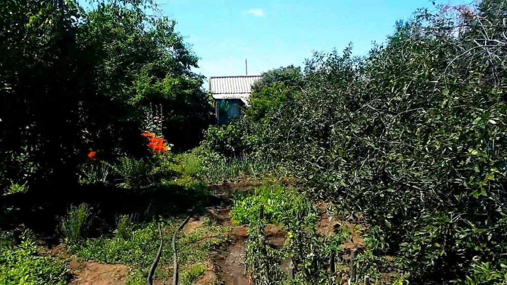 Продам дачу сад "Здоровье-1" 6 соток.