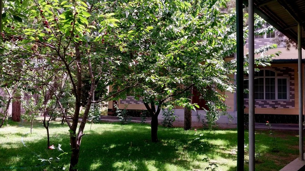 Продается СВОЙ просторный 3-этажный дом рядом с Ботаническим садом!