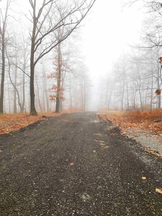 Перфектната къща в с. Рударци