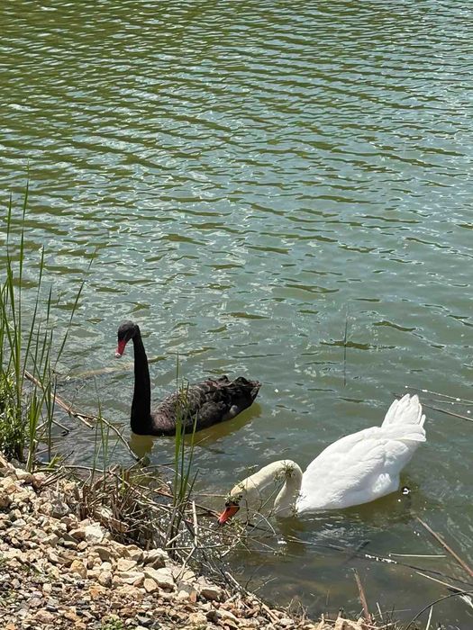 Дава се под наем Двустаен апартамент в Трявна - 84 кв.м за 66.3 € - Снимка #18