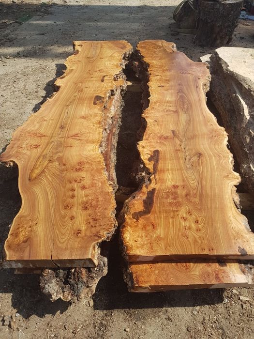 Карагач слэбы больших размеров