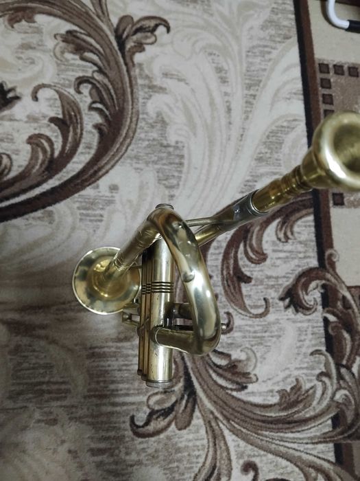 Тромпет lignaton