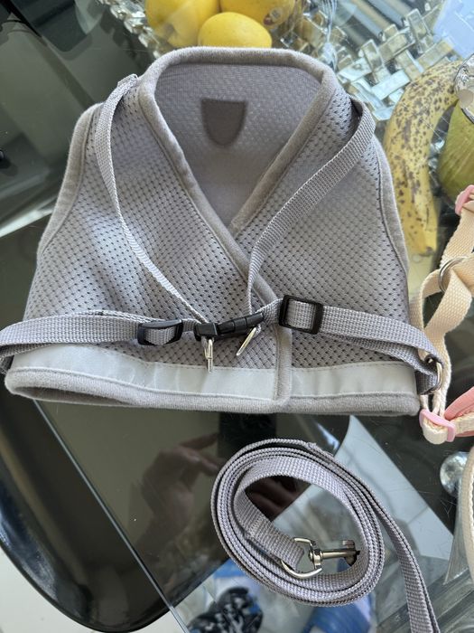 Нова дреха дъждобран за куче нагръдници, каишки