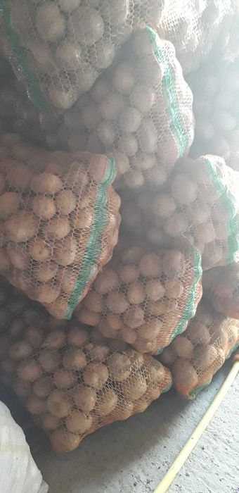 Vând cartofi de mâncat!