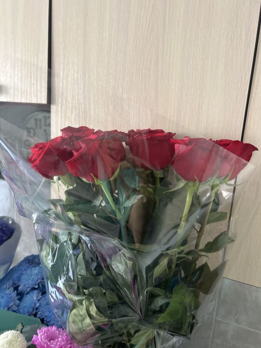 Продам цветы ночные б/у