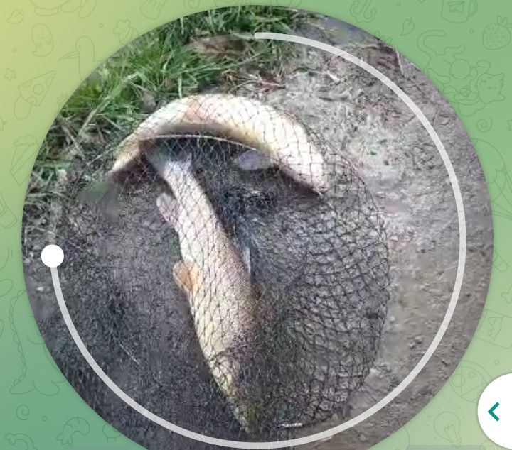 Ховли люкс жой сотилади, кибрайдан ховли люкс жой