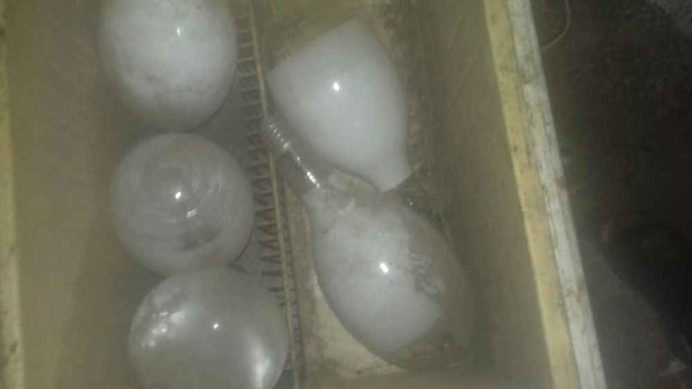 Фонарные  лампы не дорого