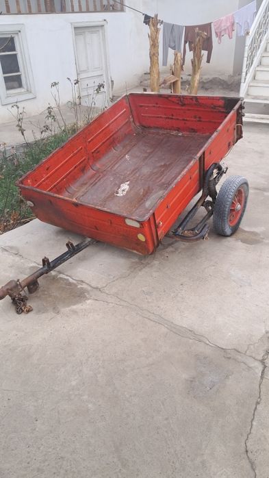 Moshina prsepi holati ortacha