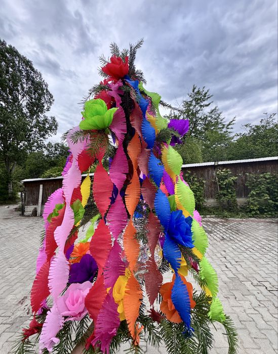 Brad de nunta, cu mai multe culori.