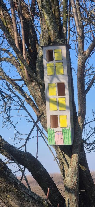 Casute din lemn pentru pasari