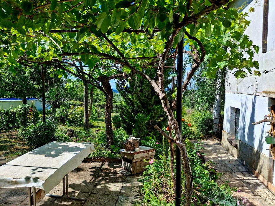 Продава се Къща в с. Остров, Област Враца - 120 кв.м за 309 €/кв.м - Снимка #3