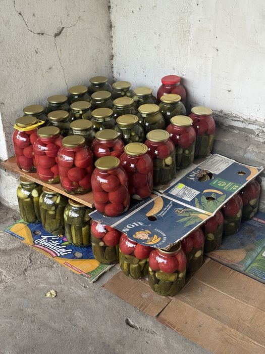 Маринованые домашние огурцы, помидоры