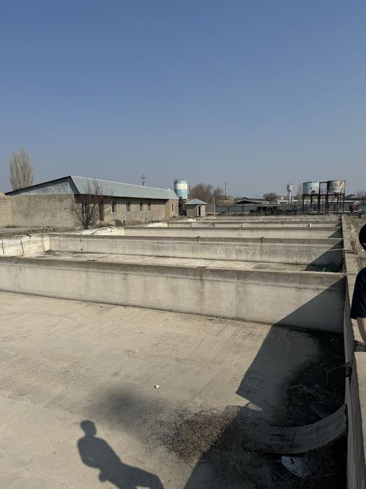 Продается рыбное хозяйство