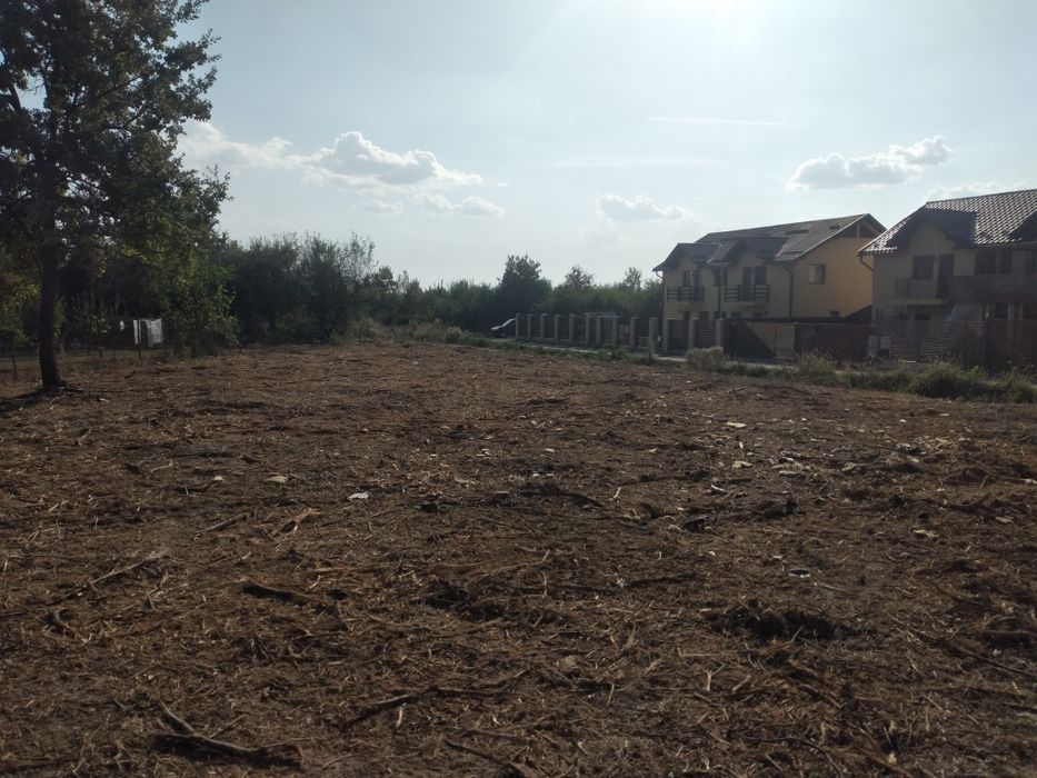 curățare teren defrisari tocator forestier burghiu pământ freză cioate