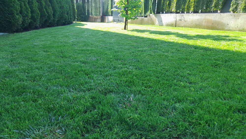 косене на трева рязане на опасни дървета почистване на дворове