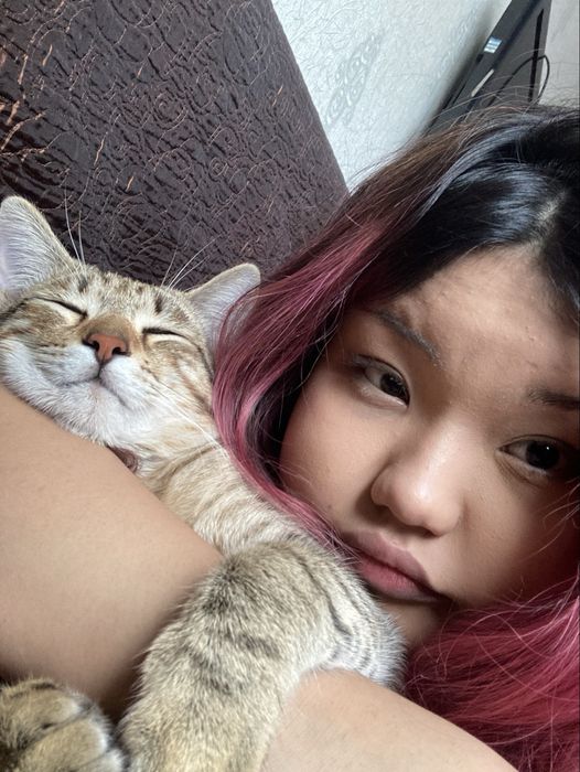 пропал кот,имя тэнни,бостандыкский район