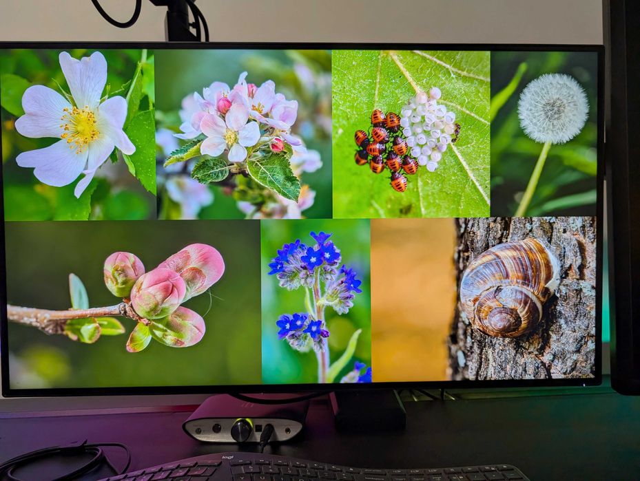 HP Z32 - 31.5" 4k IPS WLED 10bit (8+FRC)монитор,99% sRGB, USB-C 90W