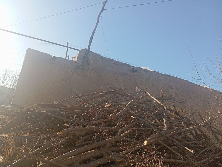 Daraxt va o'tin sotiladi