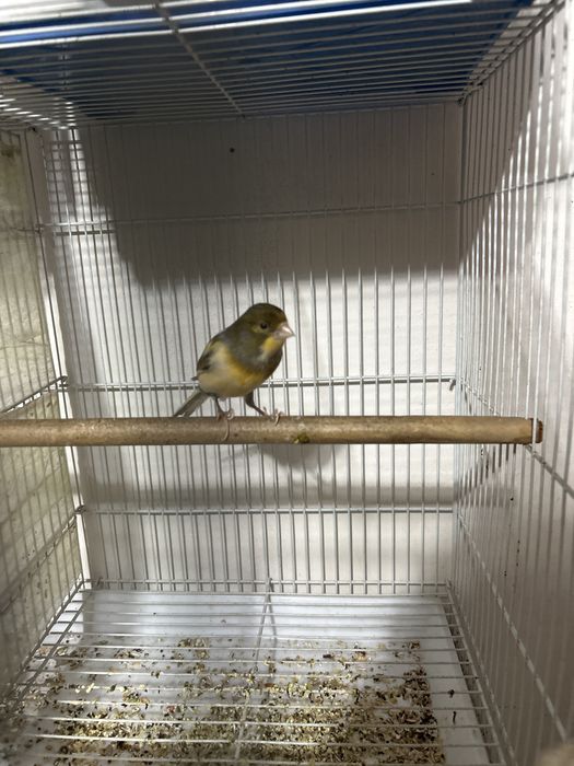 Есть доставка по городу шымкент