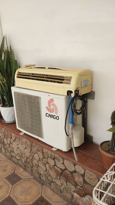 12 talik kandisioner