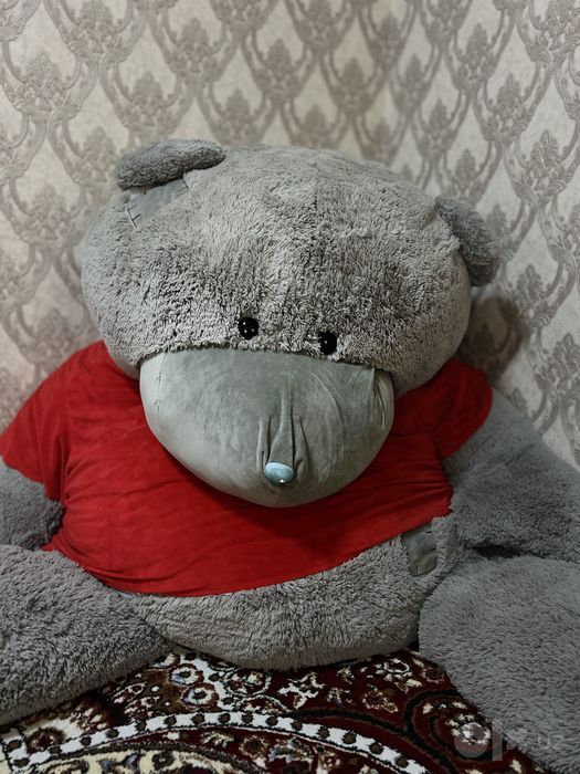 Teddy ayiq eng kattasi